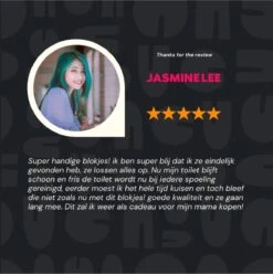 DONGOODS® Toiletblokjes Voor Inbouwreservoirs – WC-blokjes – Toiletblokken In Een Voordeelverpakking – 12 Stuks 14 DONGOODS® Toiletblokjes Voor Inbouwreservoirs – WC-blokjes – Toiletblokken In Een Voordeelverpakking – 12 Stuks -Schoonmaakartikelen Winkel 1197x1200 9