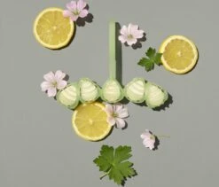 Marcel's Green Soap Toiletblok Geranium & Citroen - 55 Gram 11 Marcel's Green Soap Toiletblok Geranium & Citroen - 55 Gram -Schoonmaakartikelen Winkel 1200x1023