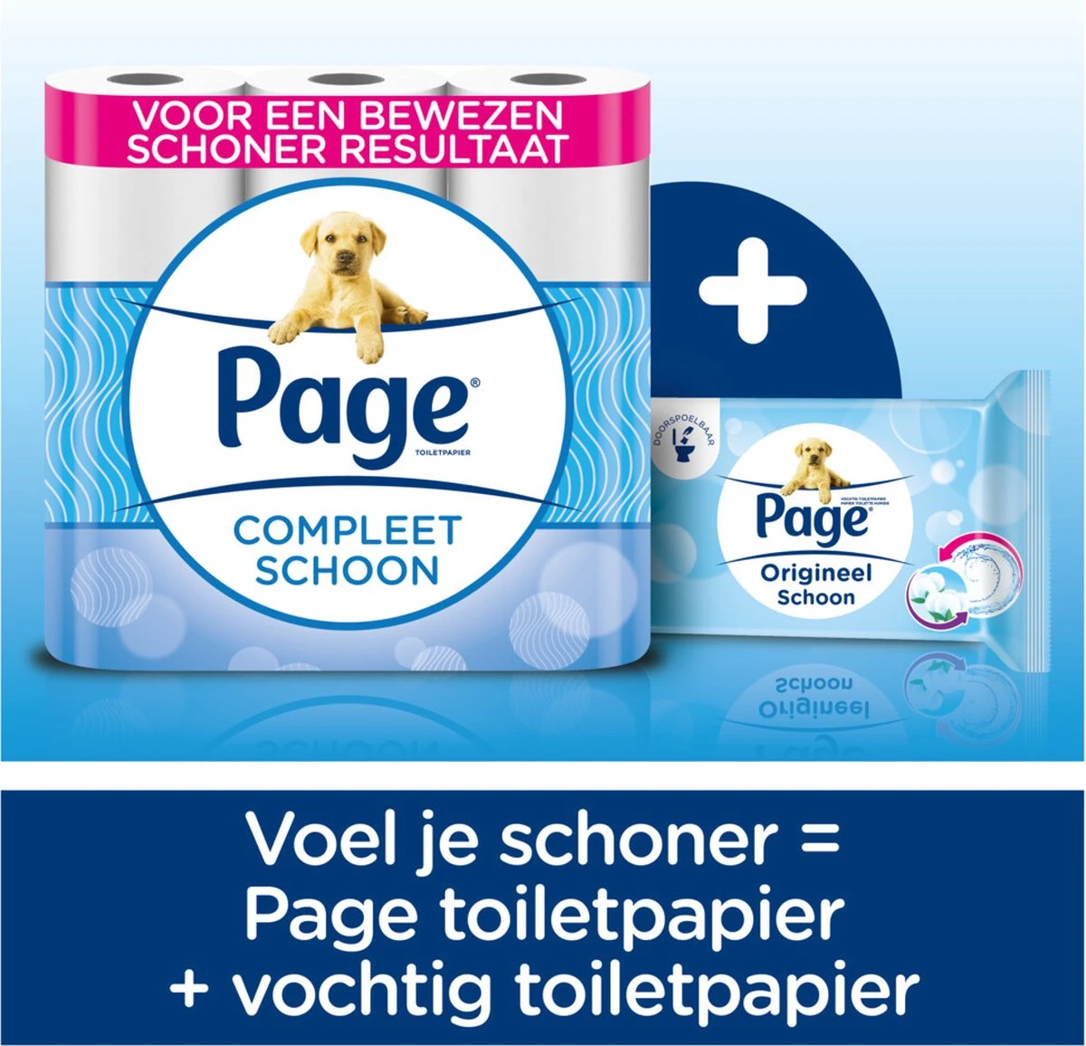 Page Toiletpapier - 72 Rollen - Compleet Schoon Wc Papier - Voordeelverpakking 4 Page Toiletpapier - 72 Rollen - Compleet Schoon Wc Papier - Voordeelverpakking - Afbeelding 2