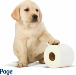 Page Toiletpapier - Eco - Duurzaam - 24 Rollen - Voordeelverpakking -Schoonmaakartikelen Winkel 1200x1186 2