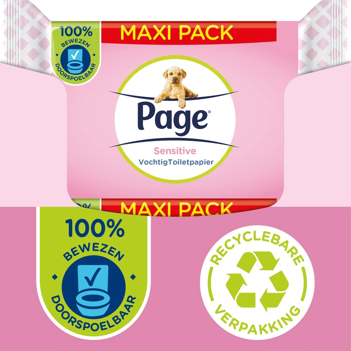 Page Vochtig Toiletpapier - 6 X 74 Stuks - Sensitive Maxi Vochtig Wc Papier - Voordeelverpakking 3 Page Vochtig Toiletpapier - 6 X 74 Stuks - Sensitive Maxi Vochtig Wc Papier - Voordeelverpakking