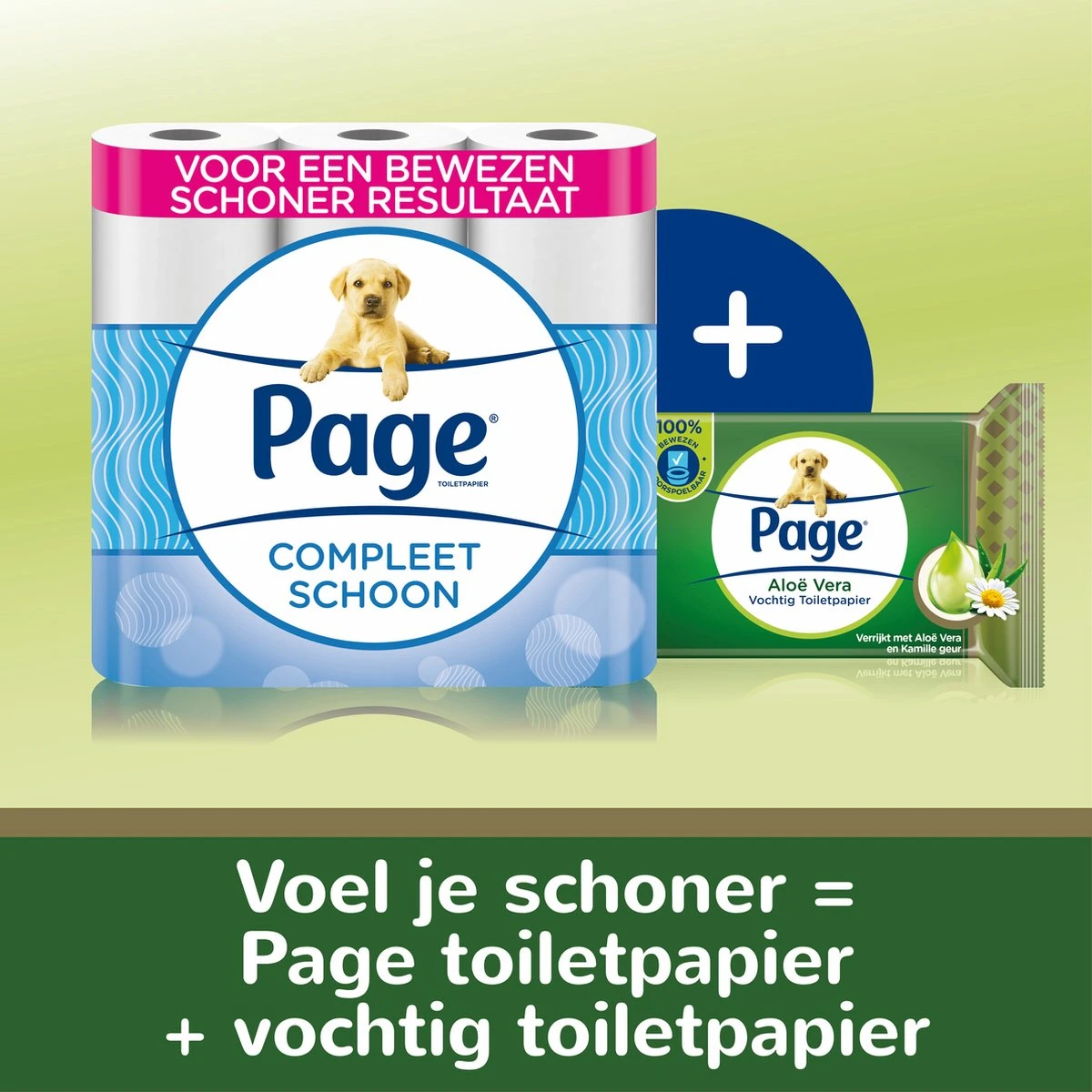 Page Vochtig Toiletpapier - 6 X 74 Stuks - Aloë Vera Maxi Vochtig Wc Papier - Voordeelverpakking 10 Page Vochtig Toiletpapier - 6 X 74 Stuks - Aloë Vera Maxi Vochtig Wc Papier - Voordeelverpakking - Afbeelding 8