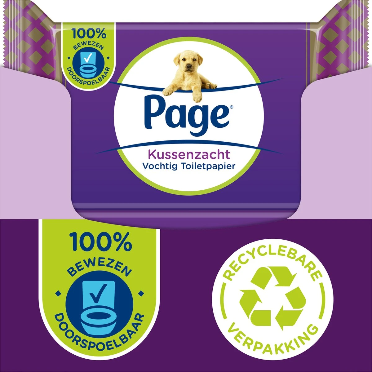 Page Vochtig Toiletpapier - 12 X 38 Stuks - Kussenzacht Vochtig Wc Papier - Voordeelverpakking 3 Page Vochtig Toiletpapier - 12 X 38 Stuks - Kussenzacht Vochtig Wc Papier - Voordeelverpakking