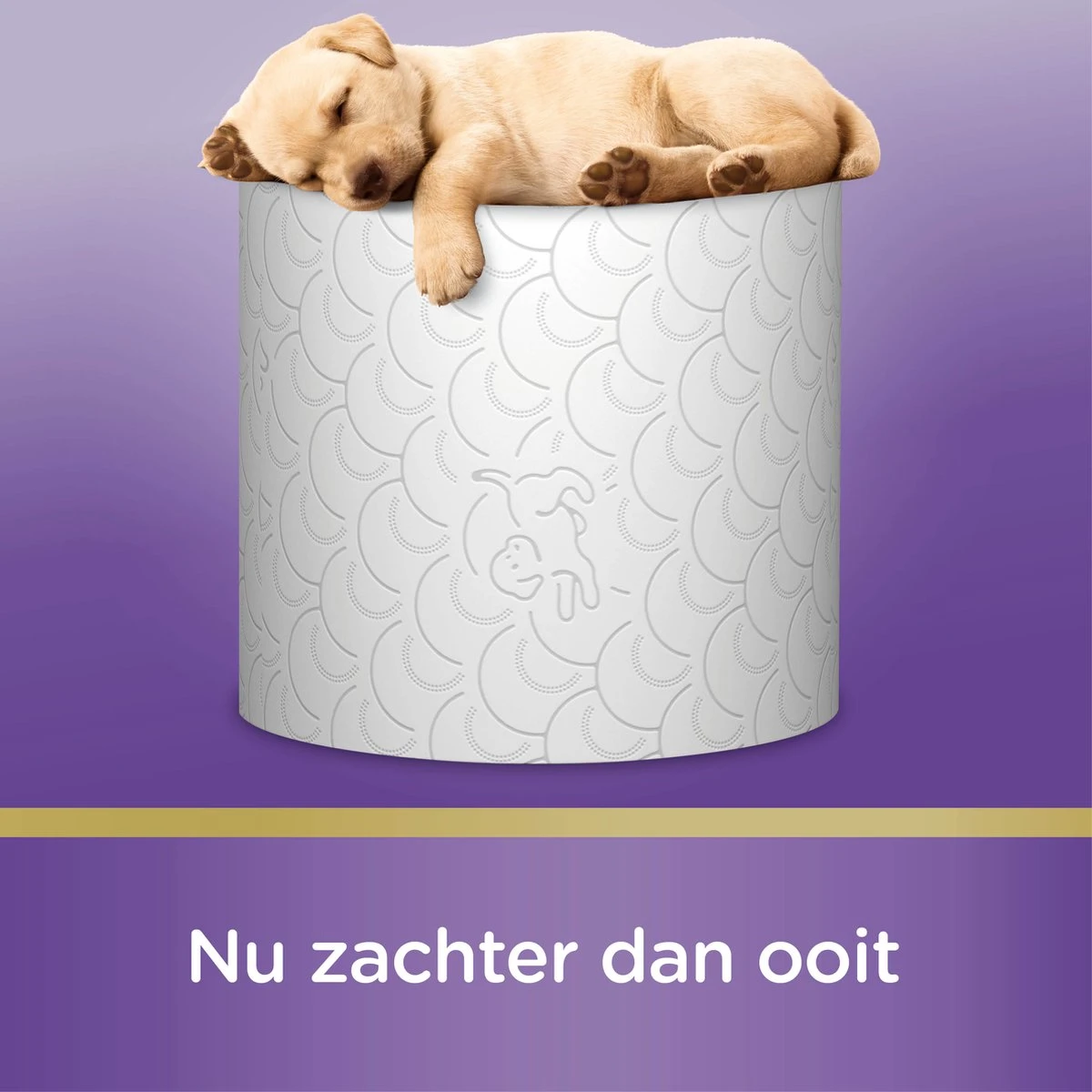 Page Toiletpapier - 42 Rollen - Kussenzacht Wc Papier (3-laags) - Voordeelverpakking 13 Page Toiletpapier - 42 Rollen - Kussenzacht Wc Papier (3-laags) - Voordeelverpakking - Afbeelding 11