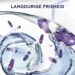 Glorix Power 5 Toiletblokken - Lavendel - 9 Stuks - Voordeelverpakking 15 Glorix Power 5 Toiletblokken - Lavendel - 9 Stuks - Voordeelverpakking -Schoonmaakartikelen Winkel 1200x1200 1429