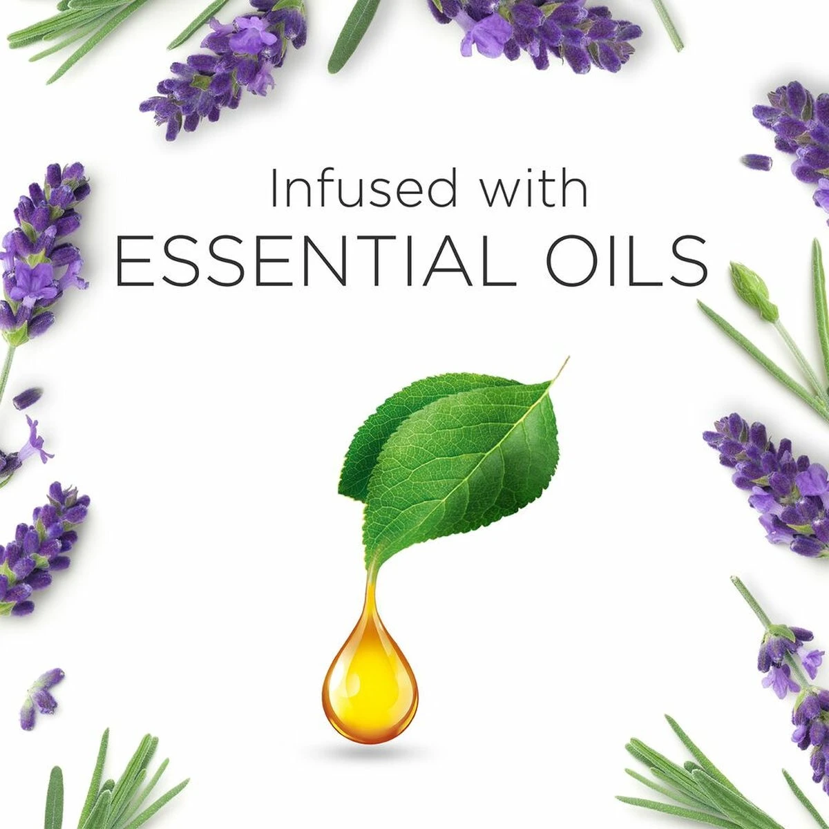 Air Wick Essential Mist Automatische Geurverspreider Luchtverfrisser - Innerlijke Rust - Navulling 5 Air Wick Essential Mist Automatische Geurverspreider Luchtverfrisser - Innerlijke Rust - Navulling - Afbeelding 3