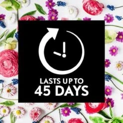 Air Wick Essential Mist Automatische Geurverspreider Luchtverfrisser - Innerlijke Rust - Navulling 17 Air Wick Essential Mist Automatische Geurverspreider Luchtverfrisser - Innerlijke Rust - Navulling -Schoonmaakartikelen Winkel 1200x1200 1519