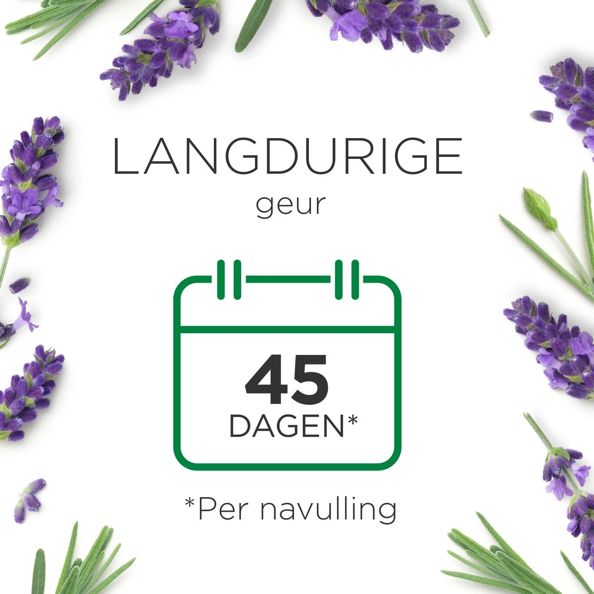 Air Wick Essential Mist Automatische Luchtverfrisser - Ontspannende Lavendel - 3 Navullingen 4 Air Wick Essential Mist Automatische Luchtverfrisser - Ontspannende Lavendel - 3 Navullingen - Afbeelding 3