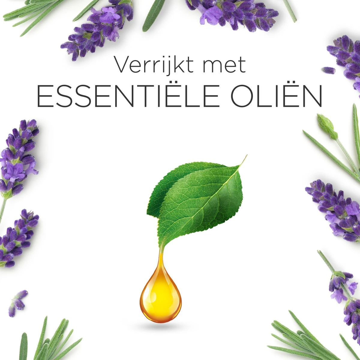 Air Wick Essential Mist Automatische Luchtverfrisser - Ontspannende Lavendel - 3 Navullingen 8 Air Wick Essential Mist Automatische Luchtverfrisser - Ontspannende Lavendel - 3 Navullingen - Afbeelding 7