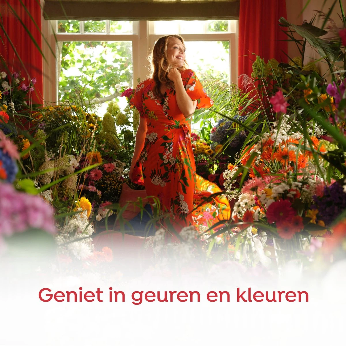 Robijn Color & Passiebloem Wasmiddel En Wasverzachter Pakket - 5 Stuks - Voordeelpakket 8 Robijn Color & Passiebloem Wasmiddel En Wasverzachter Pakket - 5 Stuks - Voordeelpakket - Afbeelding 6