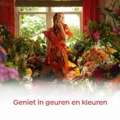 Robijn Klein & Krachtig Rosé Chique Vloeibaar Wasmiddel - 8 X 19 Wasbeurten - Voordeelverpakking 12 Robijn Klein & Krachtig Rosé Chique Vloeibaar Wasmiddel - 8 X 19 Wasbeurten - Voordeelverpakking -Schoonmaakartikelen Winkel 1200x1200 20