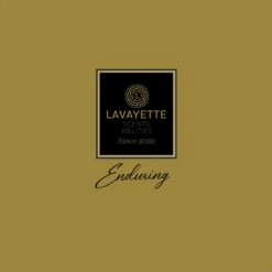 Lavayette Premium Wasparfum - Proefpakket 9x25ml - Geurbooster 17 Lavayette Premium Wasparfum - Proefpakket 9x25ml - Geurbooster -Schoonmaakartikelen Winkel 1200x1200 291