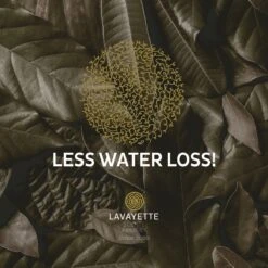 Lavayette XL Drogerballen Met 25ml Wasparfum - WasdrogerBallen – Droogballen – Wasbol – 100% Nieuw-Zeelands Schapenwol – Milieu- En Diervriendelijk – 6 Stuks 22 Lavayette XL Drogerballen Met 25ml Wasparfum - WasdrogerBallen – Droogballen – Wasbol – 100% Nieuw-Zeelands Schapenwol – Milieu- En Diervriendelijk – 6 Stuks -Schoonmaakartikelen Winkel 1200x1200 447