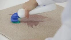 Dr. Beckmann Tapijtvlekkenborstel - Tapijtreiniging - Tapijt Vlekverwijderaar Met Borstel - Schoon Tapijt - Dierenvlekkenverwijderaar 10 Dr. Beckmann Tapijtvlekkenborstel - Tapijtreiniging - Tapijt Vlekverwijderaar Met Borstel - Schoon Tapijt - Dierenvlekkenverwijderaar -Schoonmaakartikelen Winkel 1200x674