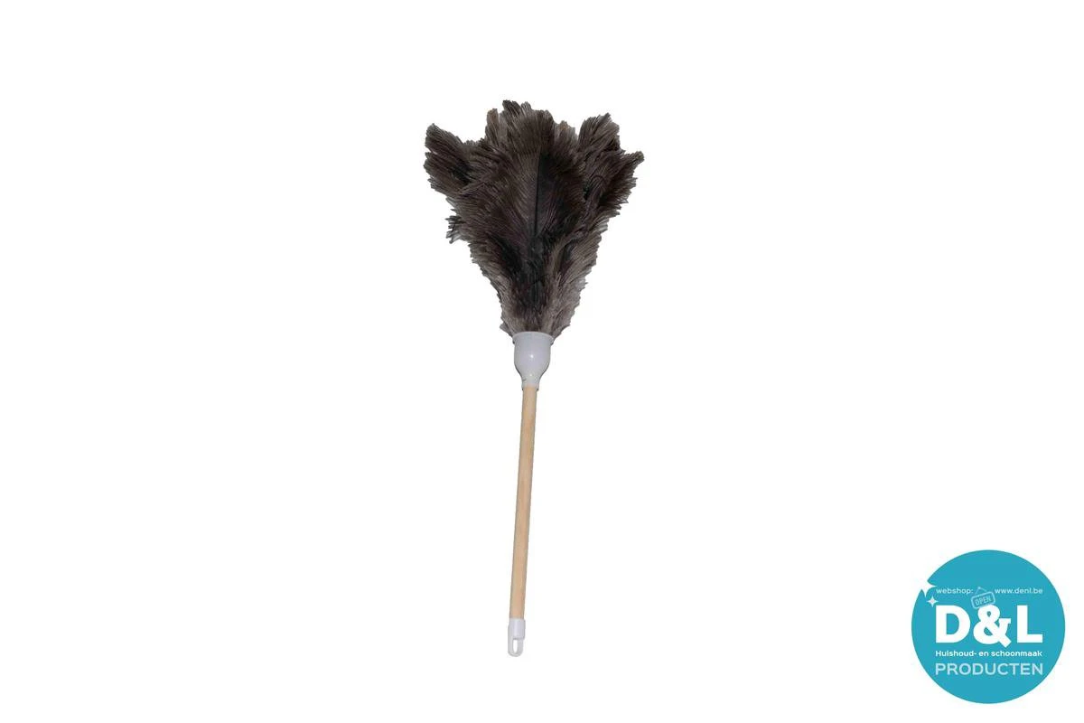 Plumeau Struisvogelveren - Lengte 50cm 5 Plumeau Struisvogelveren - Lengte 50cm - Afbeelding 3