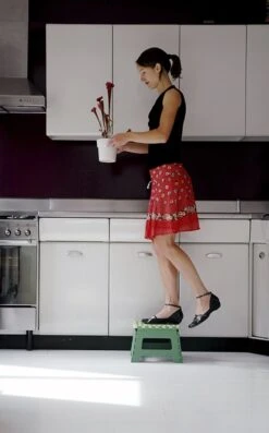 PUHLMANN - Inklapbare Kruk, JAMES, Plastic, Groen, 22 Cm Hoog, Max 100kilo 14 PUHLMANN - Inklapbare Kruk, JAMES, Plastic, Groen, 22 Cm Hoog, Max 100kilo -Schoonmaakartikelen Winkel 746x1200 2